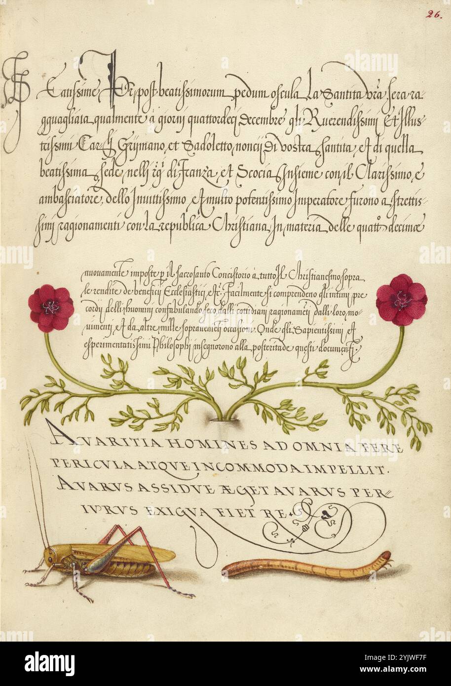 Pheasant's-Eye, Cricket o Grasshopper e Wireworm; mira calligraphiae monumenta, 1561-1562; illuminazione aggiunta 1591-1596. Informazioni aggiuntive: Negli anni '1500, quando la stampa divenne il metodo più comune per produrre libri, gli intellettuali apprezzarono sempre più l'inventiva degli scribi e le qualità estetiche della scrittura. Dal 1561 al 1562, Georg Bocskay, segretario di corte dell'imperatore del Sacro Romano Impero Ferdinando i, creò questo Model Book of Calligraphy per dimostrare la sua padronanza tecnica dell'immensa gamma di stili di scrittura a lui noti. L'imperatore Rodolfo II in seguito commissionò a Joris Hoefnagel l'illu Foto Stock