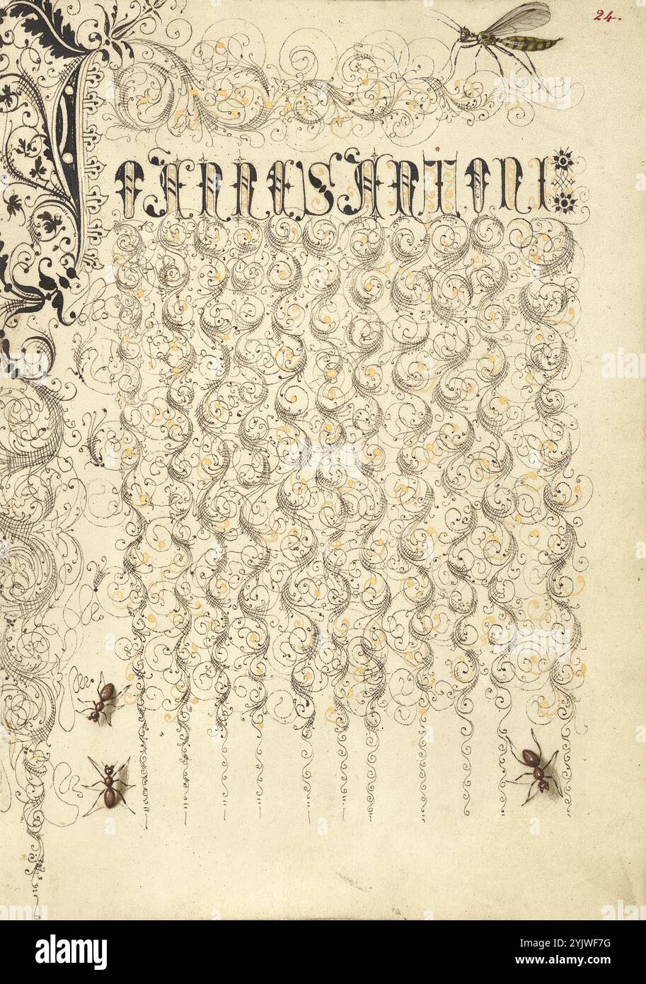 Crane Fly and Ants; mira calligraphiae monumenta, 1561-1562; illuminazione aggiunta 1591-1596. Informazioni aggiuntive: Negli anni '1500, quando la stampa divenne il metodo più comune per produrre libri, gli intellettuali apprezzarono sempre più l'inventiva degli scribi e le qualità estetiche della scrittura. Dal 1561 al 1562, Georg Bocskay, segretario di corte dell'imperatore del Sacro Romano Impero Ferdinando i, creò questo Model Book of Calligraphy per dimostrare la sua padronanza tecnica dell'immensa gamma di stili di scrittura a lui noti. L'imperatore Rodolfo II in seguito commissionò a Joris Hoefnagel di illuminare il libro modello di Bocskay. Hoefn Foto Stock