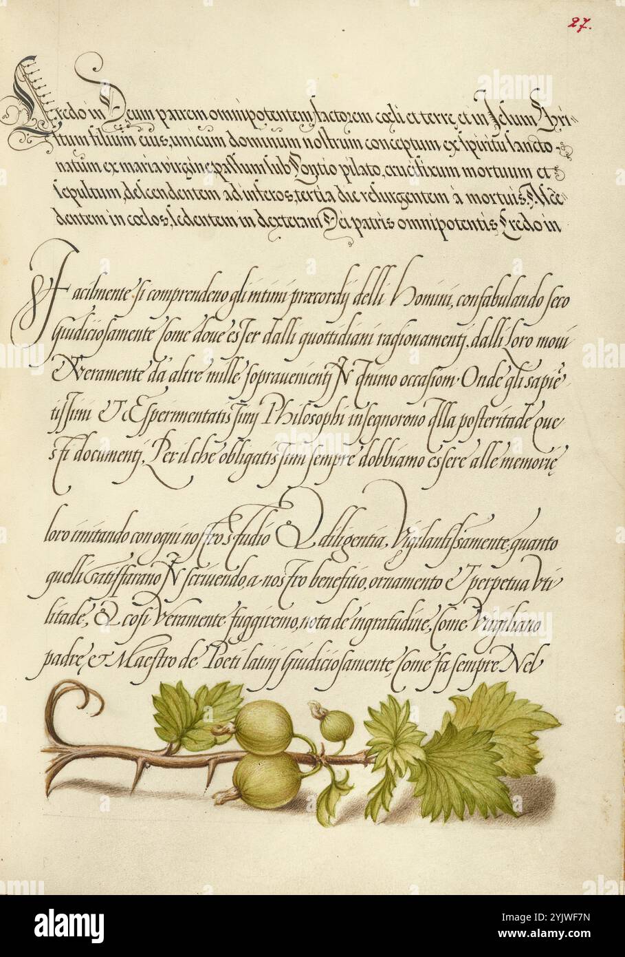Ribes europeo; mira calligraphiae monumenta, 1561-1562; illuminazione aggiunta 1591-1596. Informazioni aggiuntive: Negli anni '1500, quando la stampa divenne il metodo più comune per produrre libri, gli intellettuali apprezzarono sempre più l'inventiva degli scribi e le qualità estetiche della scrittura. Dal 1561 al 1562, Georg Bocskay, segretario di corte dell'imperatore del Sacro Romano Impero Ferdinando i, creò questo Model Book of Calligraphy per dimostrare la sua padronanza tecnica dell'immensa gamma di stili di scrittura a lui noti. L'imperatore Rodolfo II in seguito commissionò a Joris Hoefnagel di illuminare il libro modello di Bocskay. Hoefnag Foto Stock