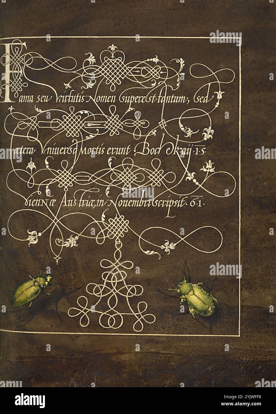 Ground Beetle and Scarab; mira calligraphiae monumenta, 1561-1562; illuminazione aggiunta 1591-1596. Informazioni aggiuntive: Negli anni '1500, quando la stampa divenne il metodo più comune per produrre libri, gli intellettuali apprezzarono sempre più l'inventiva degli scribi e le qualità estetiche della scrittura. Dal 1561 al 1562, Georg Bocskay, segretario di corte dell'imperatore del Sacro Romano Impero Ferdinando i, creò questo Model Book of Calligraphy per dimostrare la sua padronanza tecnica dell'immensa gamma di stili di scrittura a lui noti. L'imperatore Rodolfo II in seguito commissionò a Joris Hoefnagel di illuminare il libro modello di Bocskay. Foto Stock