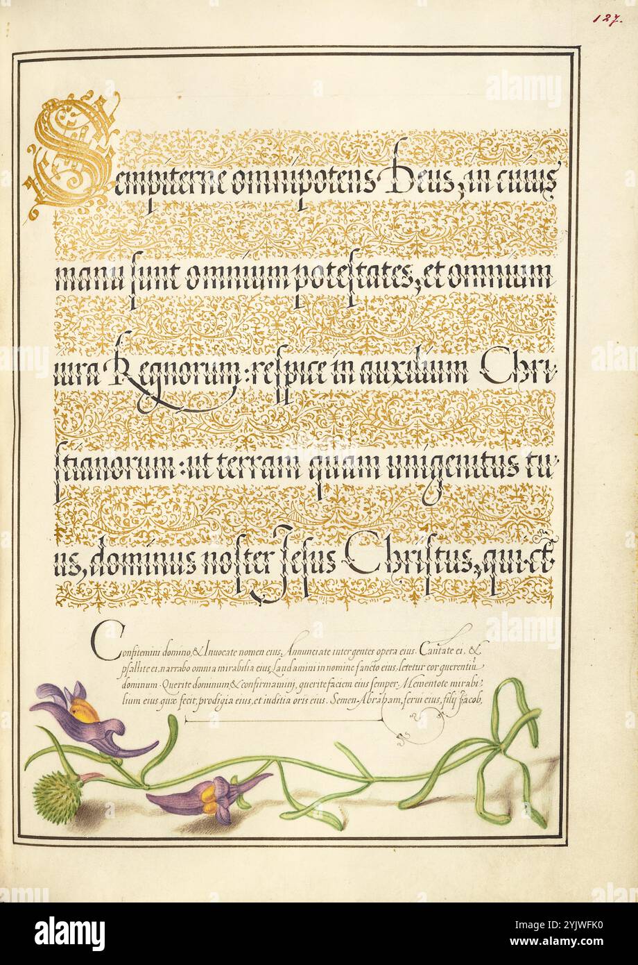 Toadflax; mira calligraphiae monumenta, 1561-1562; illuminazione aggiunta 1591-1596. Informazioni aggiuntive: Negli anni '1500, quando la stampa divenne il metodo più comune per produrre libri, gli intellettuali apprezzarono sempre più l'inventiva degli scribi e le qualità estetiche della scrittura. Dal 1561 al 1562, Georg Bocskay, segretario di corte dell'imperatore del Sacro Romano Impero Ferdinando i, creò questo Model Book of Calligraphy per dimostrare la sua padronanza tecnica dell'immensa gamma di stili di scrittura a lui noti. L'imperatore Rodolfo II in seguito commissionò a Joris Hoefnagel di illuminare il libro modello di Bocskay. Hoefnagel aggiunto Foto Stock