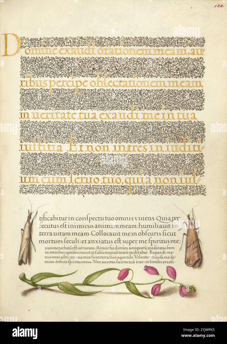 Erba miti e verme; mira calligraphiae monumenta, 1561-1562; illuminazione aggiunta 1591-1596. Informazioni aggiuntive: Negli anni '1500, quando la stampa divenne il metodo più comune per produrre libri, gli intellettuali apprezzarono sempre più l'inventiva degli scribi e le qualità estetiche della scrittura. Dal 1561 al 1562, Georg Bocskay, segretario di corte dell'imperatore del Sacro Romano Impero Ferdinando i, creò questo Model Book of Calligraphy per dimostrare la sua padronanza tecnica dell'immensa gamma di stili di scrittura a lui noti. L'imperatore Rodolfo II in seguito commissionò a Joris Hoefnagel di illuminare il libro modello di Bocskay. Foto Stock