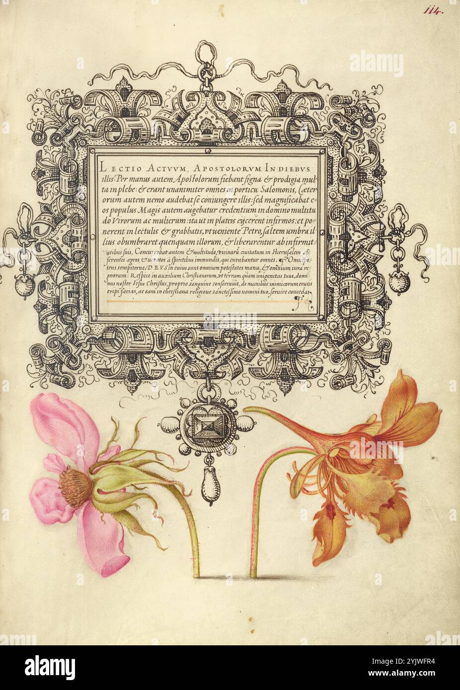 French Rose and Dwarf Nasturtium; mira calligraphiae monumenta, 1561-1562; illuminazione aggiunta 1591-1596. Informazioni aggiuntive: Negli anni '1500, quando la stampa divenne il metodo più comune per produrre libri, gli intellettuali apprezzarono sempre più l'inventiva degli scribi e le qualità estetiche della scrittura. Dal 1561 al 1562, Georg Bocskay, segretario di corte dell'imperatore del Sacro Romano Impero Ferdinando i, creò questo Model Book of Calligraphy per dimostrare la sua padronanza tecnica dell'immensa gamma di stili di scrittura a lui noti. L'imperatore Rodolfo II in seguito commissionò a Joris Hoefnagel di illuminare la mod di Bocskay Foto Stock