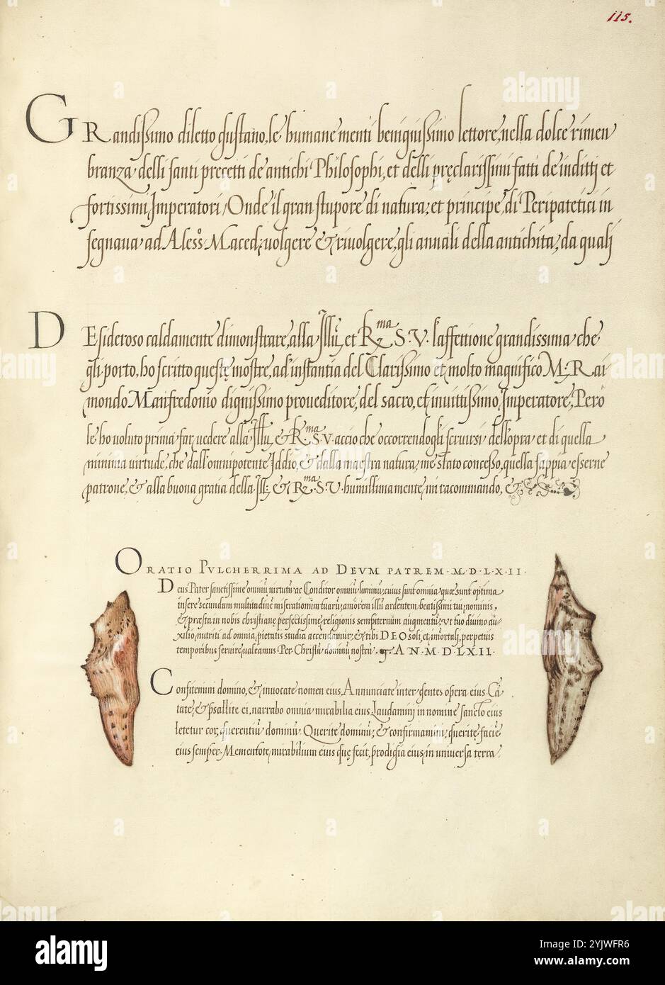 Pupe di farfalla; mira calligraphiae monumenta, 1561-1562; illuminazione aggiunta 1591-1596. Informazioni aggiuntive: Negli anni '1500, quando la stampa divenne il metodo più comune per produrre libri, gli intellettuali apprezzarono sempre più l'inventiva degli scribi e le qualità estetiche della scrittura. Dal 1561 al 1562, Georg Bocskay, segretario di corte dell'imperatore del Sacro Romano Impero Ferdinando i, creò questo Model Book of Calligraphy per dimostrare la sua padronanza tecnica dell'immensa gamma di stili di scrittura a lui noti. L'imperatore Rodolfo II in seguito commissionò a Joris Hoefnagel di illuminare il libro modello di Bocskay. Hoefnage Foto Stock