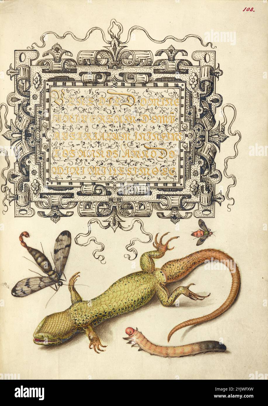 Scorpionfly, insetto, lucertola e insetto Larva; mira calligraphiae monumenta, 1561-1562; illuminazione aggiunta 1591-1596. Informazioni aggiuntive: Negli anni '1500, quando la stampa divenne il metodo più comune per produrre libri, gli intellettuali apprezzarono sempre più l'inventiva degli scribi e le qualità estetiche della scrittura. Dal 1561 al 1562, Georg Bocskay, segretario di corte dell'imperatore del Sacro Romano Impero Ferdinando i, creò questo Model Book of Calligraphy per dimostrare la sua padronanza tecnica dell'immensa gamma di stili di scrittura a lui noti. L'imperatore Rodolfo II in seguito incaricò Joris Hoefnagel di illuminare Foto Stock