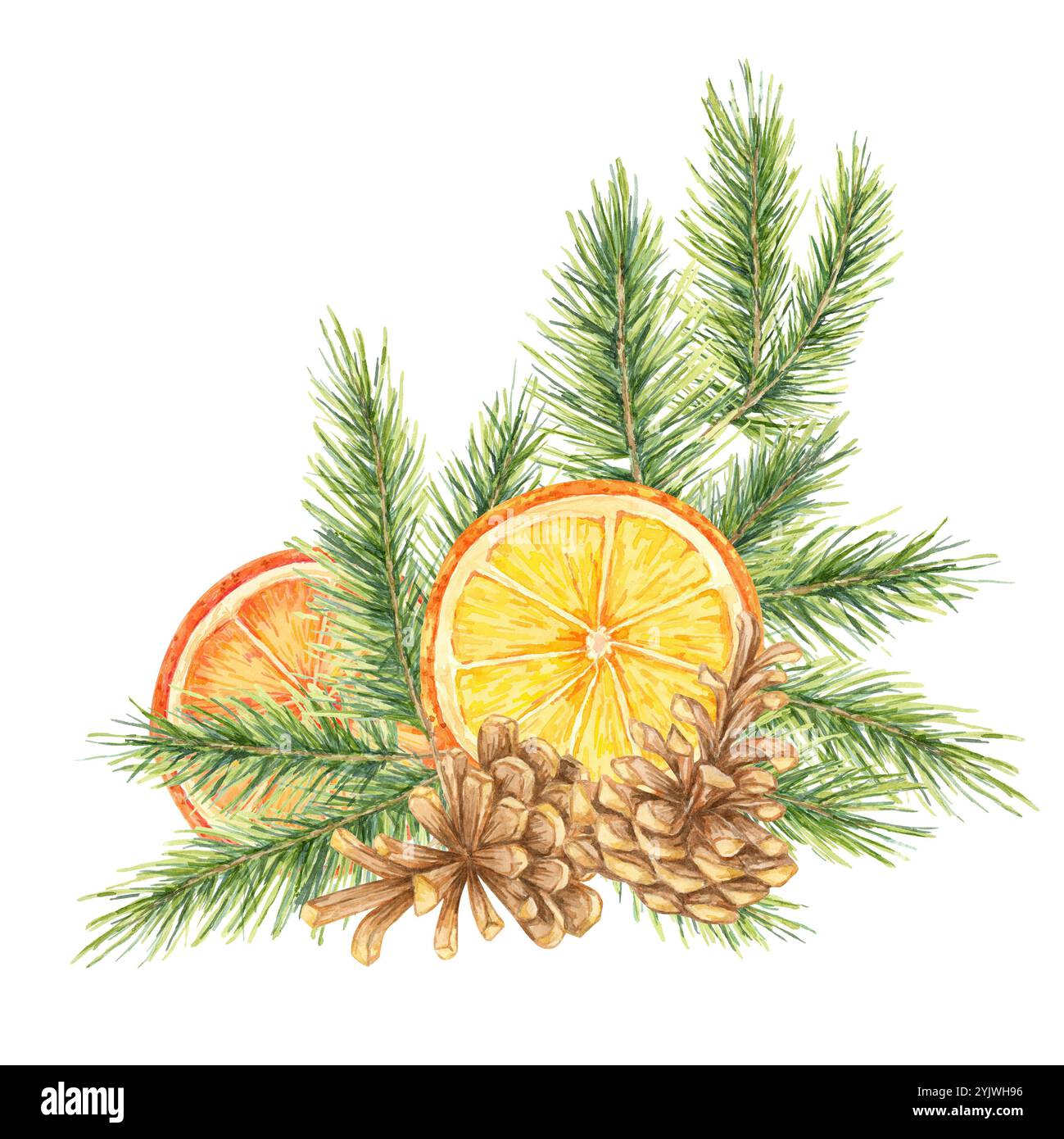 Arance, bastoncini di cannella, rami di pino e coni. Acquerello, agrumi e abete rosso per il confezionamento natalizio, il marketing stagionale o decorazioni a tema invernale. Aggiunge un tocco rustico ai progetti di design Foto Stock