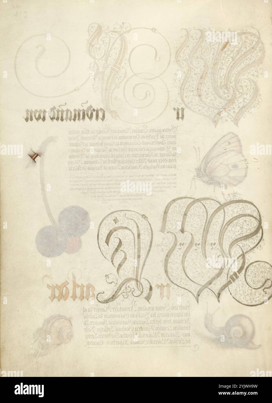 Stelo trompe l'Oeil di una ciliegia dolce; retro di una pagina che illustra farfalla, ciliegia dolce e unghie di terra; mira calligraphiae monumenta, 1561-1562; illuminazione aggiunta 1591-1596. Informazioni aggiuntive: Negli anni '1500, quando la stampa divenne il metodo più comune per produrre libri, gli intellettuali apprezzarono sempre più l'inventiva degli scribi e le qualità estetiche della scrittura. Dal 1561 al 1562, Georg Bocskay, segretario di corte dell'imperatore del Sacro Romano Impero Ferdinando i, creò questo Model Book of Calligraphy per dimostrare la sua padronanza tecnica dell'immensa gamma di stili di scrittura a lui noti. Empe Foto Stock