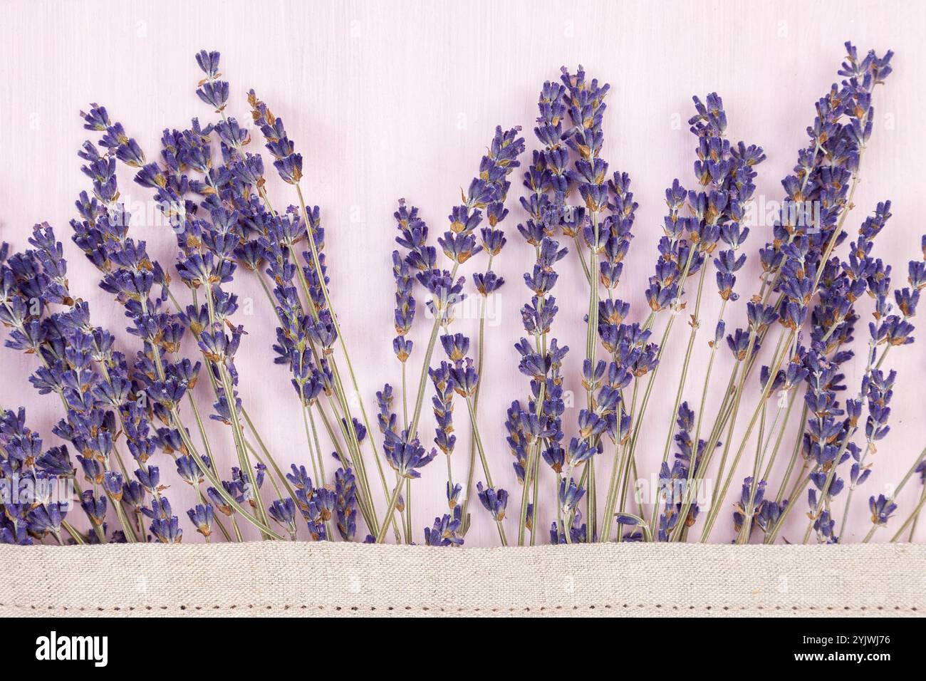 fiori asciutti di lavanda su fondo di legno Foto Stock