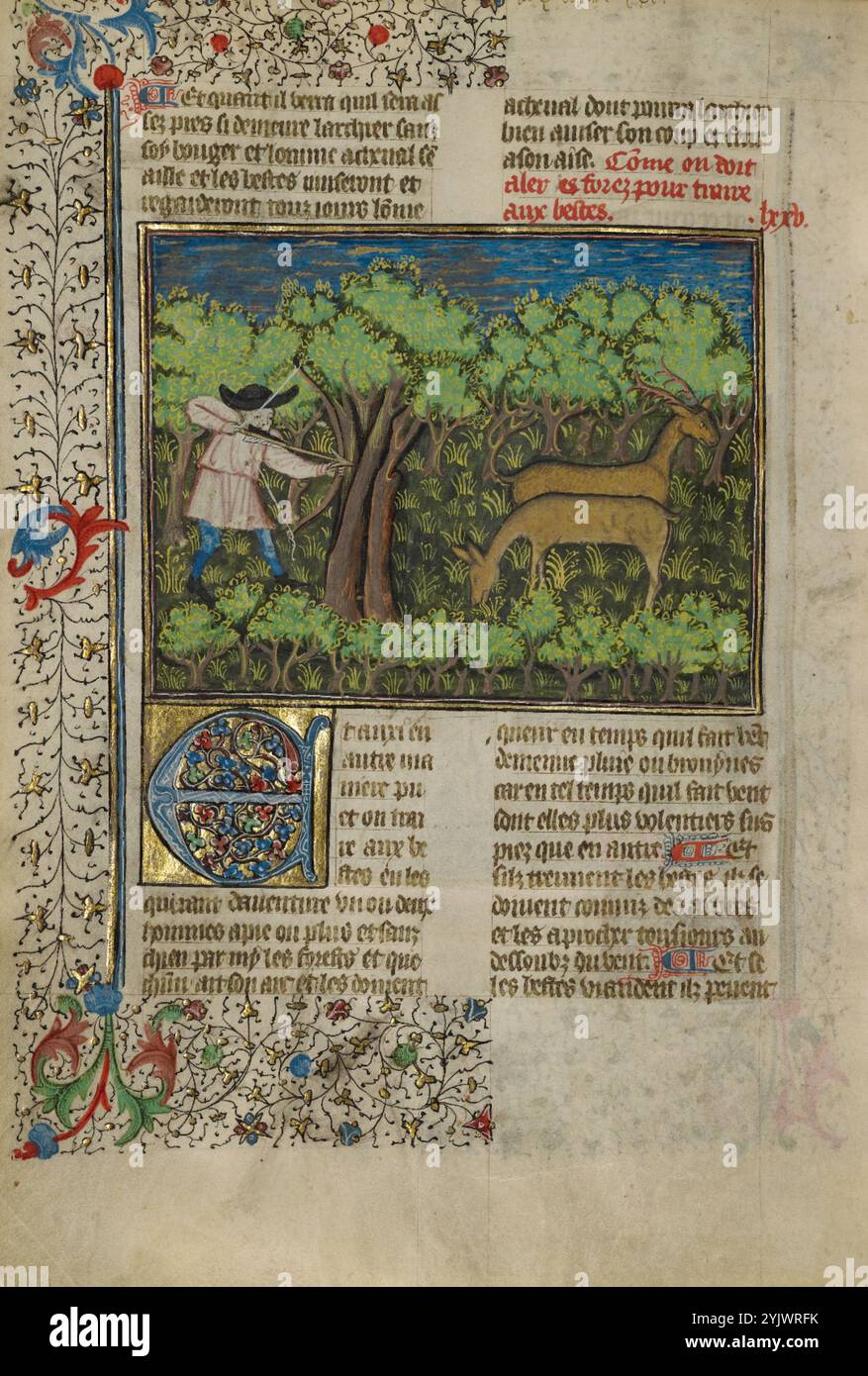 Un arciere che spara a Deer; Livre de la Chasse, circa 1430-1440. Libro medievale sulla caccia. Foto Stock