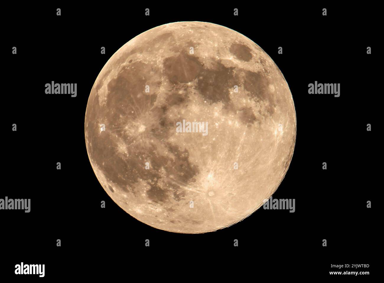 Der November-Mond leuchtet riesig am Nachthimmel über München, letzter Supermond des Jahres, 15. Novembre 2024 Deutschland, München, 15. 2024 novembre, Supermond am wolkenfreien Nachthimmel über München, der November-Vollmond ist besonders Hell und Groß, weil er in Seiner Umlaufbahn am erdnächsten Punkt ist, der November-Vollmond wird auch Nebelmond oder Bibermond genannt, Vollmond im Zeichen Stier, Herbstnacht, Bayern *** la luna 2024 di novembre brilla enorme nel cielo notturno dell'ultimo 15 novembre, Monaco di Monaco, Germania, 15 novembre. 2024, la superluna nella nuvolosa Foto Stock