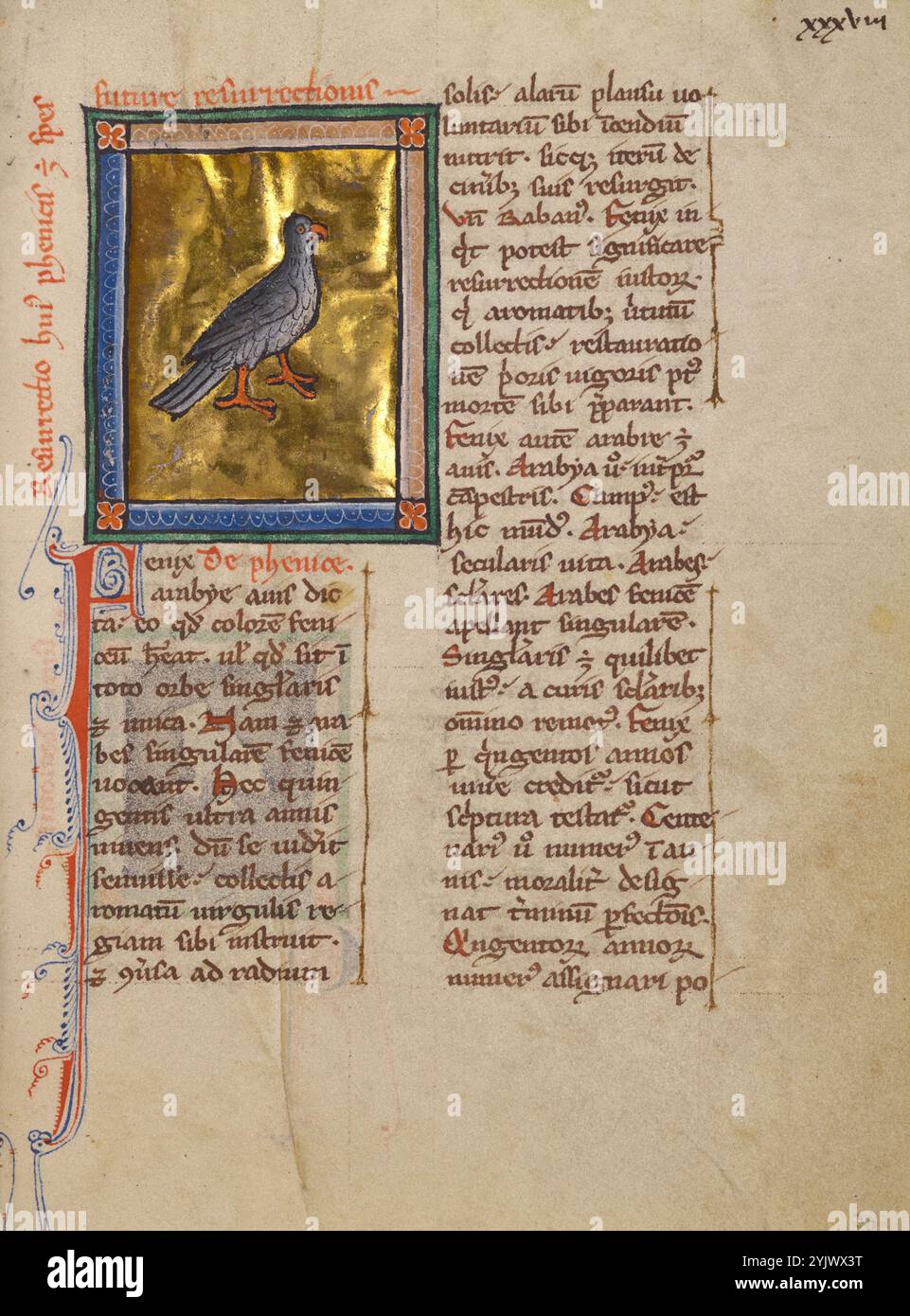 A Phoenix; Bestiario, circa 1270. Foto Stock