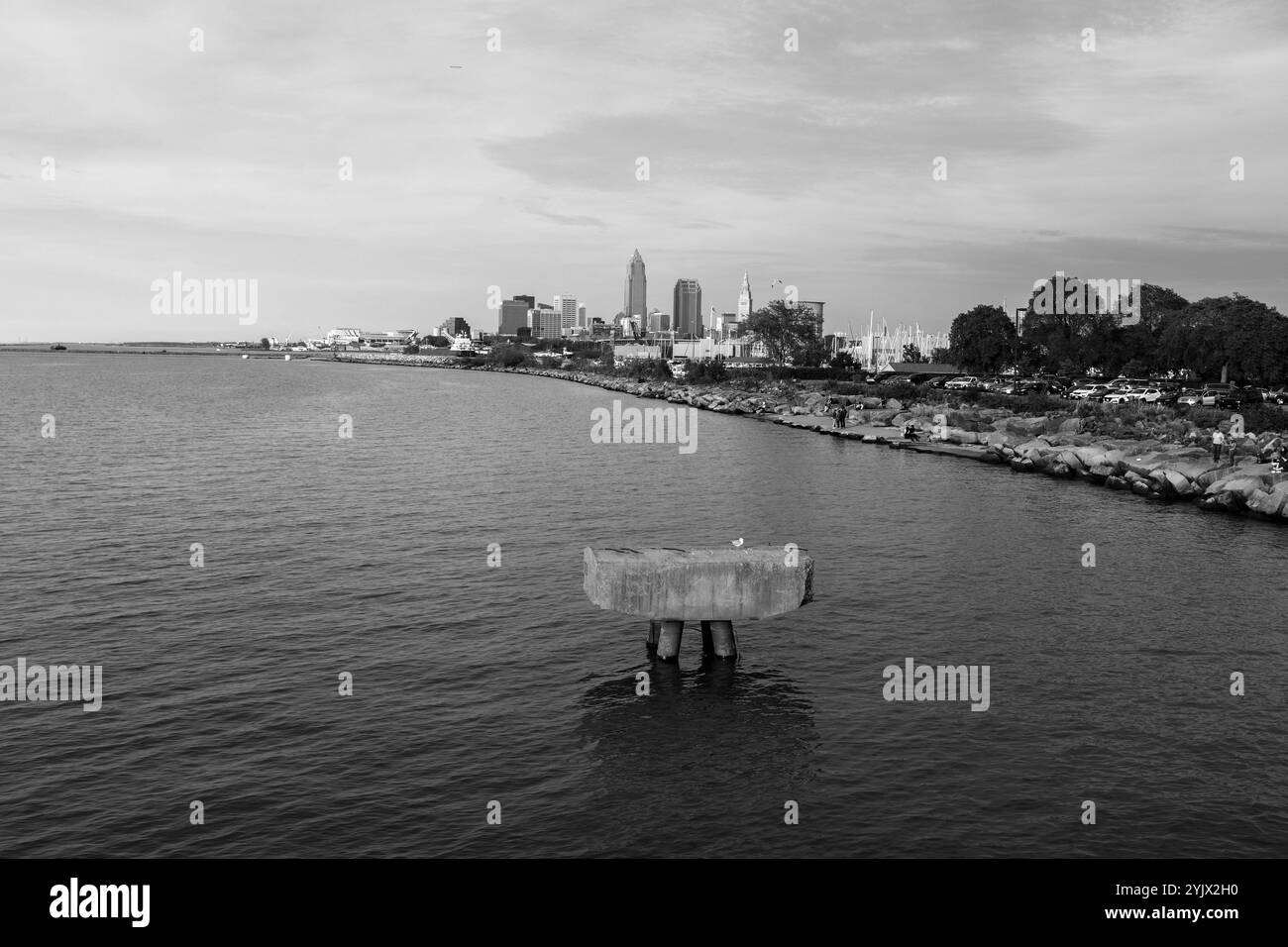 Un uccello solitario poggia su un blocco di cemento, crogiolandosi nelle serene vedute di Edgewater Beach sul lago Erie. Foto Stock