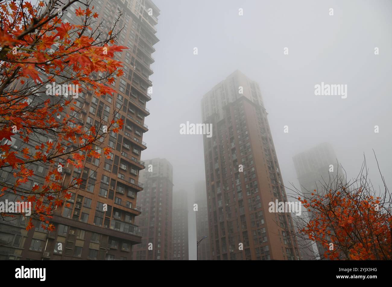 JILIN, CINA - 15 NOVEMBRE 2024 - la foto scattata il 15 novembre 2024 mostra una proprietà urbana in forte nebbia nella città di Jilin, provincia di Jilin nella Cina nord-orientale Foto Stock