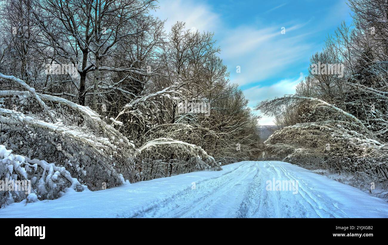 paesaggio di una strada con molta neve nel mezzo della foresta. sfondo del desktop, visualizzazione orizzontale 16:9. Foto Stock