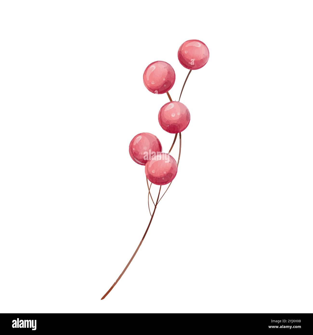 Bacche rosse acquerelli, bacche di ribes sul ramo senza foglie, stagioni isolate Illustrazione Vettoriale