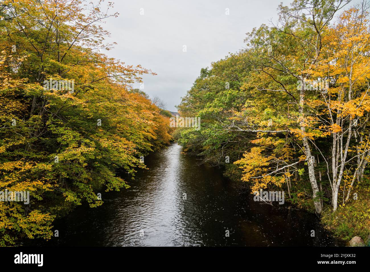 North Aspy River South Branch - Big Intervale Campground - Cape Breton Highlands National Park   Cape North, nuova Scozia, CAN Foto Stock