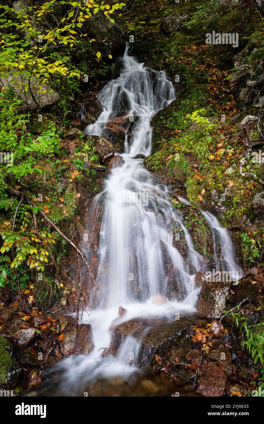 Waterfall Cape Breton Highlands National Park   Big Intervale Cape North, nuova Scozia, CAN Foto Stock