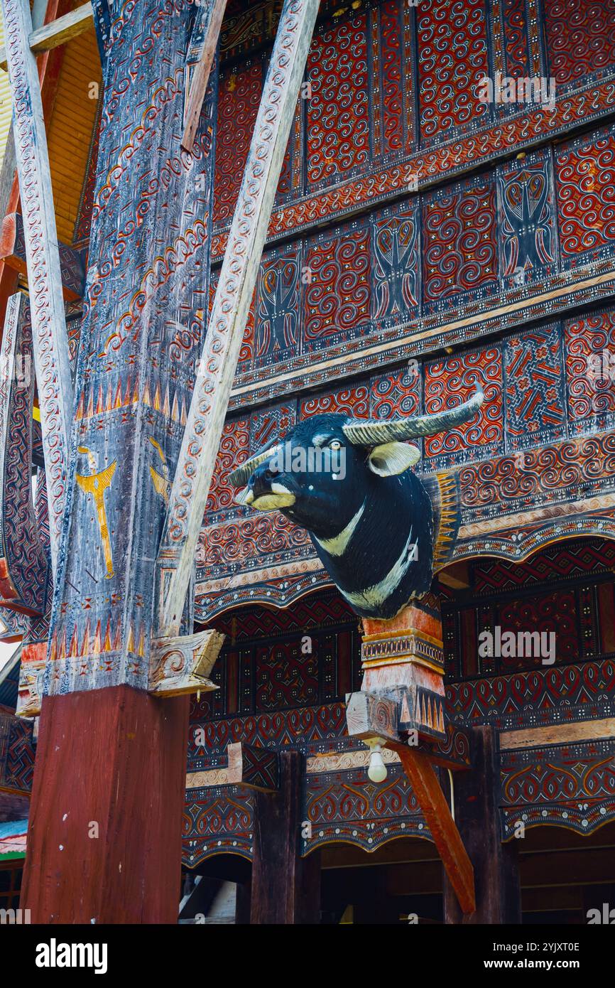 Buffalo Head e Buffalo Horns sono simboli di benessere, prosperità e status sociale a Tana Toraja Foto Stock