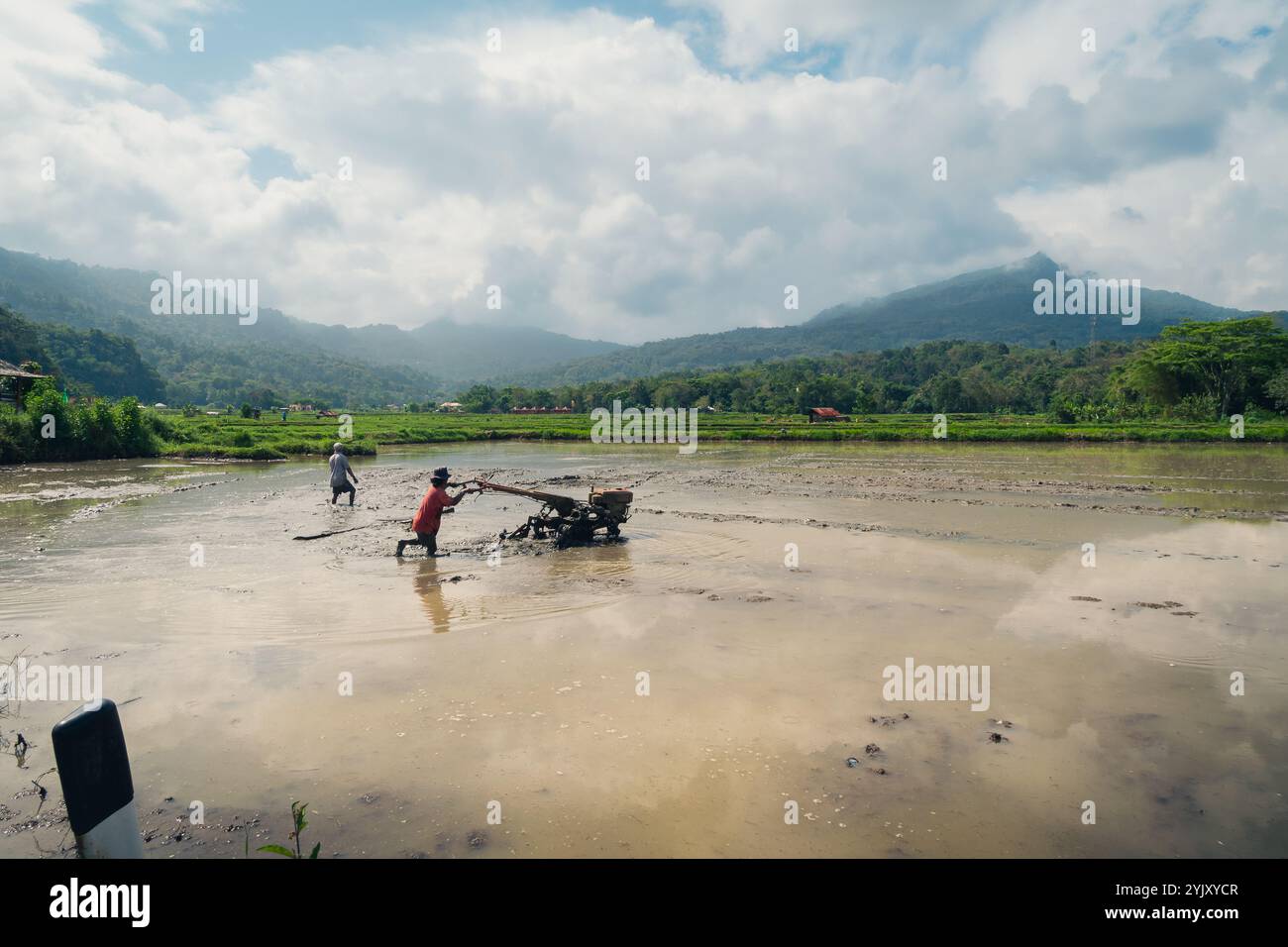 Due agricoltori stanno arando un campo di riso con un trattore a spinta a Tana Toraja, Sulawesi meridionale, Indonesia Foto Stock