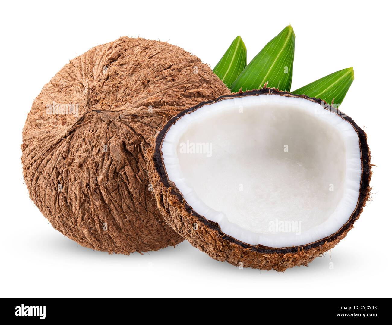 cocco isolato su sfondo bianco. percorso di ritaglio della noce di cocco Foto Stock