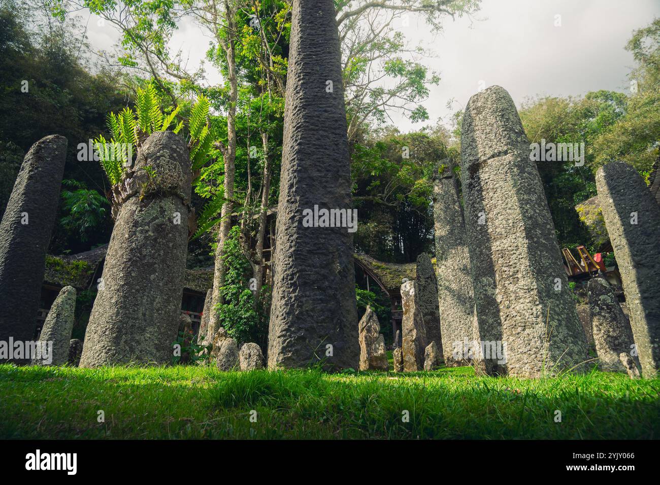 Megaliti o menhir di Tana Toraja. Vecchio sito di sepoltura torajan a Bori, Rantepao, Sulawesi, Indonesia Foto Stock