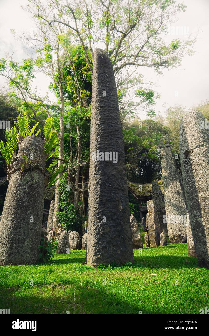 Megaliti o menhir di Tana Toraja. Vecchio sito di sepoltura torajan a Bori, Rantepao, Sulawesi, Indonesia. Foto Stock