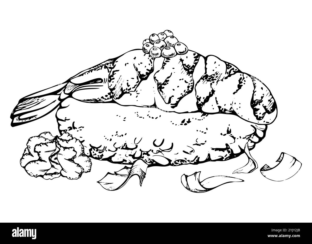Cucina tradizionale giapponese, sushi nigiri pesce crudo tonno salmone gamberetti, condimento caviale, wasabi, unagi flakes, disegnato a mano in penna vettoriale, inchiostro. Illustrazione Illustrazione Vettoriale