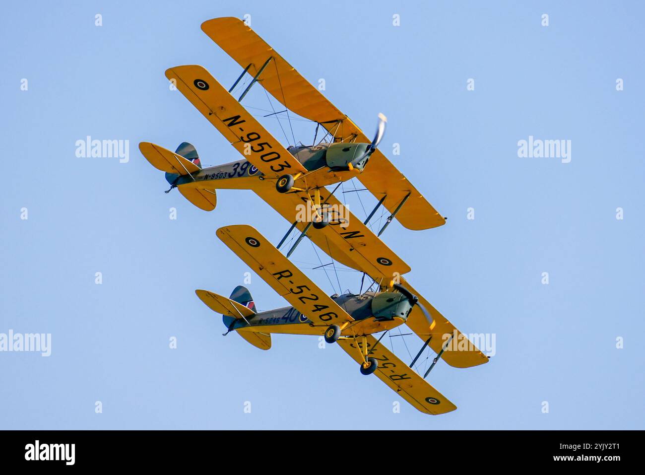 Tiger Moth Foto Stock