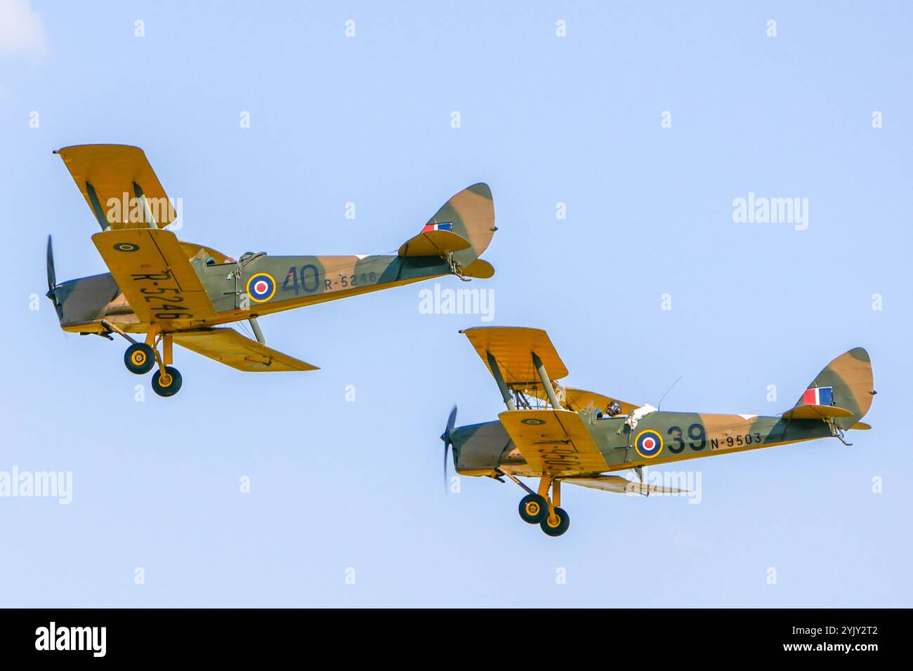 Tiger Moth Foto Stock