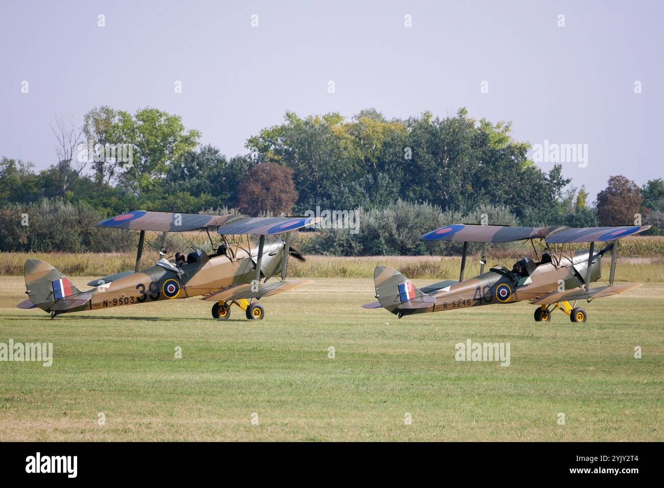Tiger Moth Foto Stock
