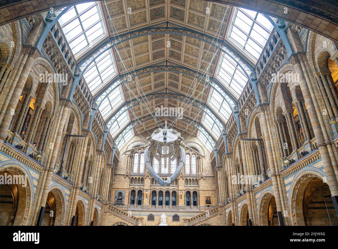 All'interno dell'edificio storico naturale durante il giorno si aprono le porte con la rappresentazione di grandi scheletri di animali. Londra-Inghilterra. Foto Stock