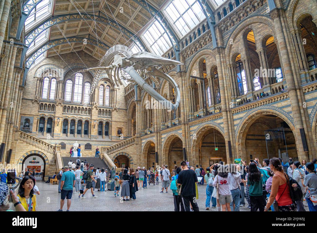 All'interno dell'edificio storico naturale durante il giorno si aprono le porte con la rappresentazione di grandi scheletri di animali. Londra-Inghilterra. Foto Stock