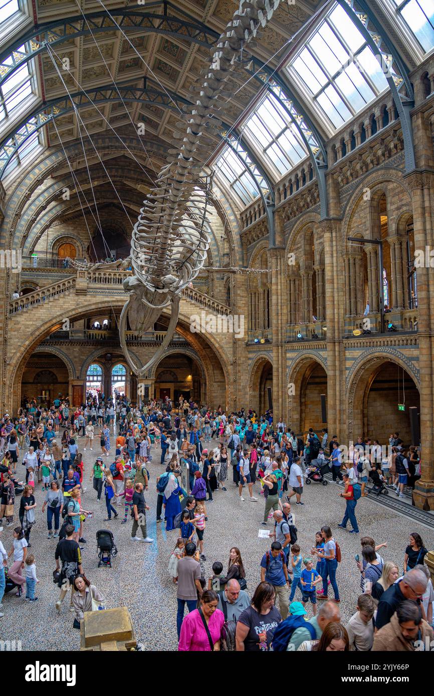 All'interno dell'edificio storico naturale durante il giorno si aprono le porte con la rappresentazione di grandi scheletri di animali. Londra-Inghilterra. Foto Stock