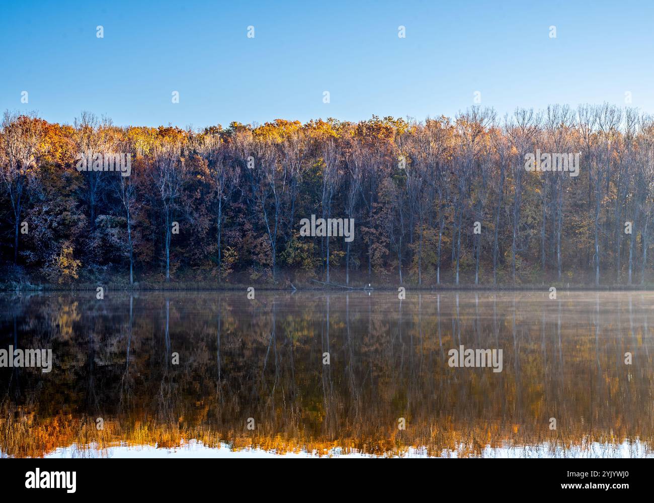 Autunno nebbia Foto Stock