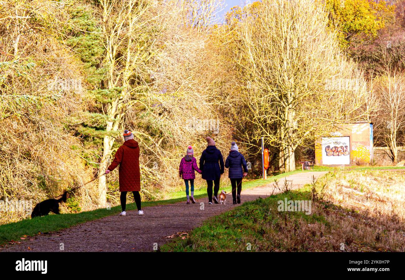 Dundee, Tayside, Scozia, Regno Unito. 16 novembre 2024. Meteo nel Regno Unito: Il clima autunnale molto freddo migliora lo splendore del Dundee Clatto Country Park. Nonostante le basse temperature, alcuni abitanti del posto si godono comunque una passeggiata di sabato intorno al laghetto del parco. Crediti: Dundee Photographics/Alamy Live News Foto Stock