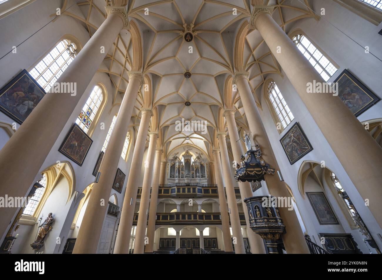 Interno con soffitto a volta e loft d'organo, organo costruito nel 1751 dal costruttore di organi Johann Philipp Seuffert, chiesa di San Vito, XVI secolo, Iphofen Foto Stock