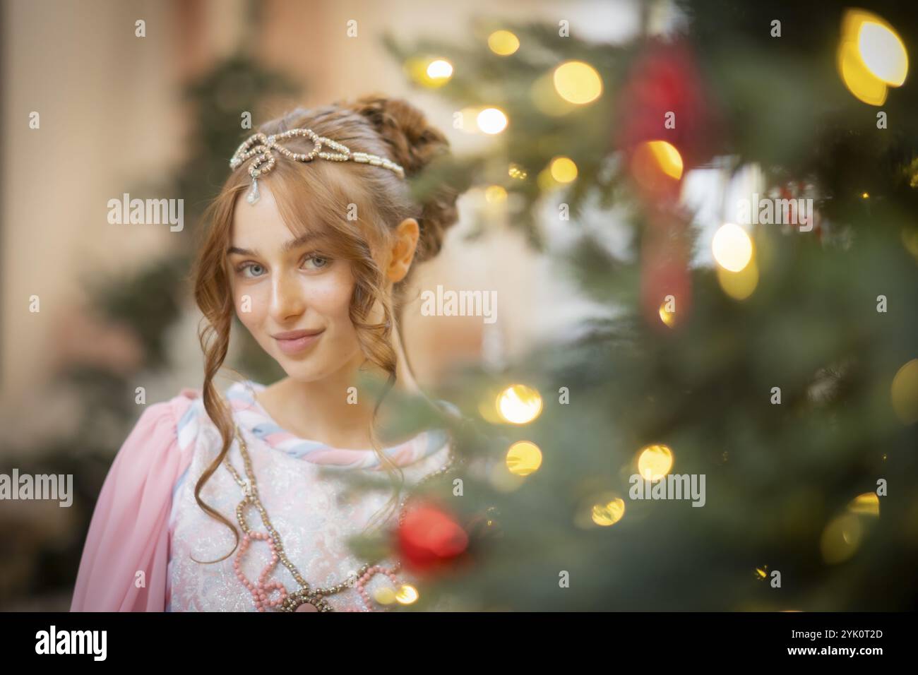 La mostra invernale tre nocciole per Cenerentola inizia il 21 novembre. Il castello di Moritzburg è stato trasformato in un castello da favola per la tredicesima volta Foto Stock