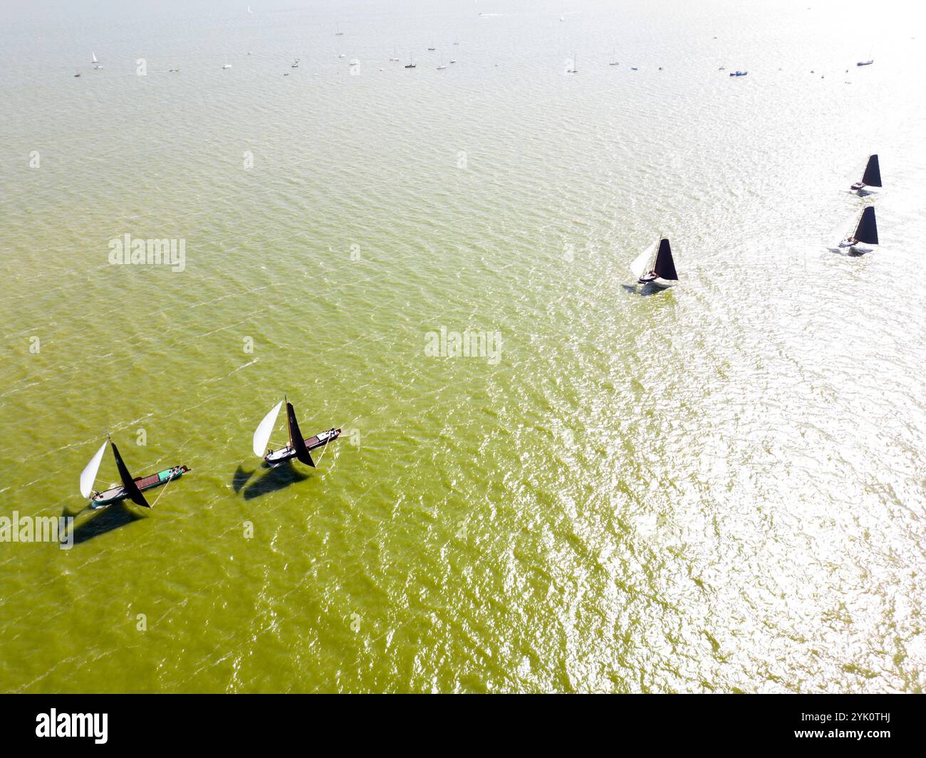 Tradizionali velieri frisoni a fondo piatto in una competizione annuale sull'IJsselmeer, Paesi Bassi Foto Stock