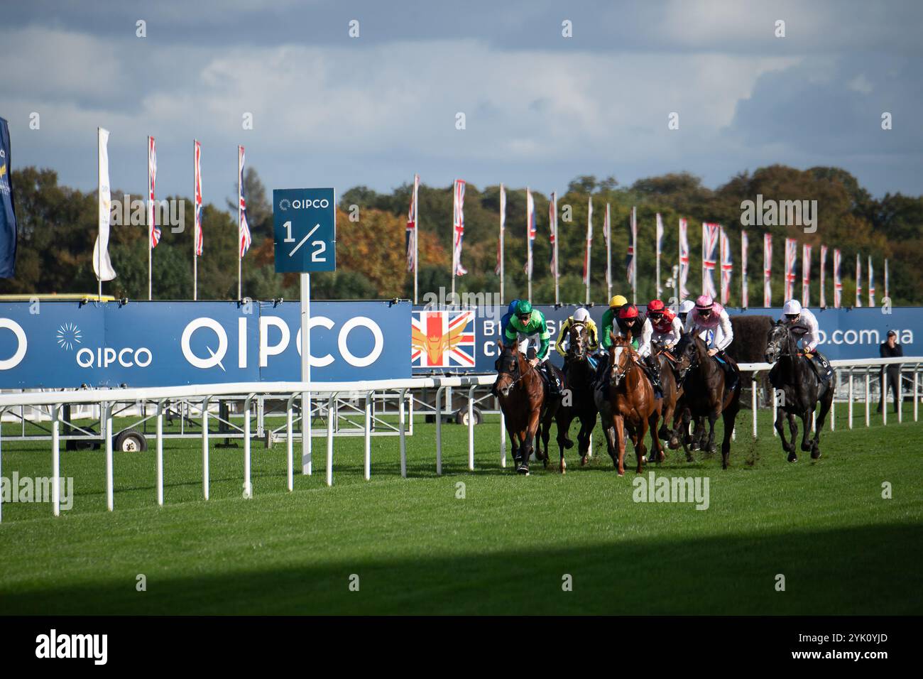 Ascot, Berkshire, Regno Unito. 19 ottobre 2024. Piloti nel primo miglio della QIPCO British Champions Long Distance Cup (Classe 1) (gruppo 2) (British Champions Series) al British Champions Day 2024 all'Ascot Racecourse nel Berkshire. Crediti: Maureen McLean/Alamy Foto Stock