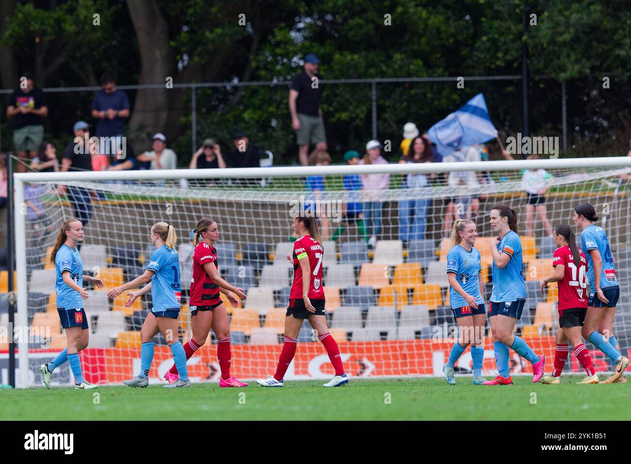 Sydney, Australia. 16 novembre 2024. I giocatori stringono la mano dopo la partita A-League Women Rd3 tra Sydney FC e The Wanderers al Leichhardt Oval il 16 novembre 2024 a Sydney, Australia Credit: IOIO IMAGES/Alamy Live News Foto Stock Sydney, Australia. 16 novembre 2024. I giocatori stringono la mano dopo la partita A-League Women Rd3 tra Sydney FC e The Wanderers al Leichhardt Oval il 16 novembre 2024 a Sydney, Australia Credit: IOIO IMAGES/Alamy Live News Foto Stock
