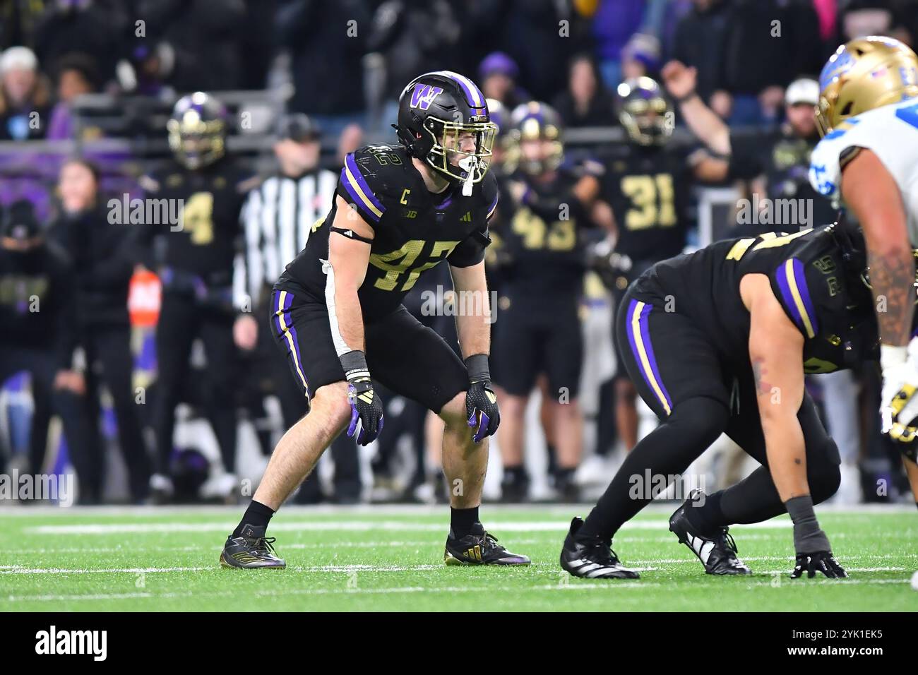 Seattle, Washington, Stati Uniti. 15 novembre 2024. Il linebacker dei Washington Huskies Carson Bruener (42) durante la partita di football NCAA tra gli UCLA Bruins e i Washington Huskies a Seattle, Washington. Washington sconfisse UCLA 31-19. Steve Faber/CSM (immagine di credito: © Steve Faber/Cal Sport Media). Crediti: csm/Alamy Live News Foto Stock