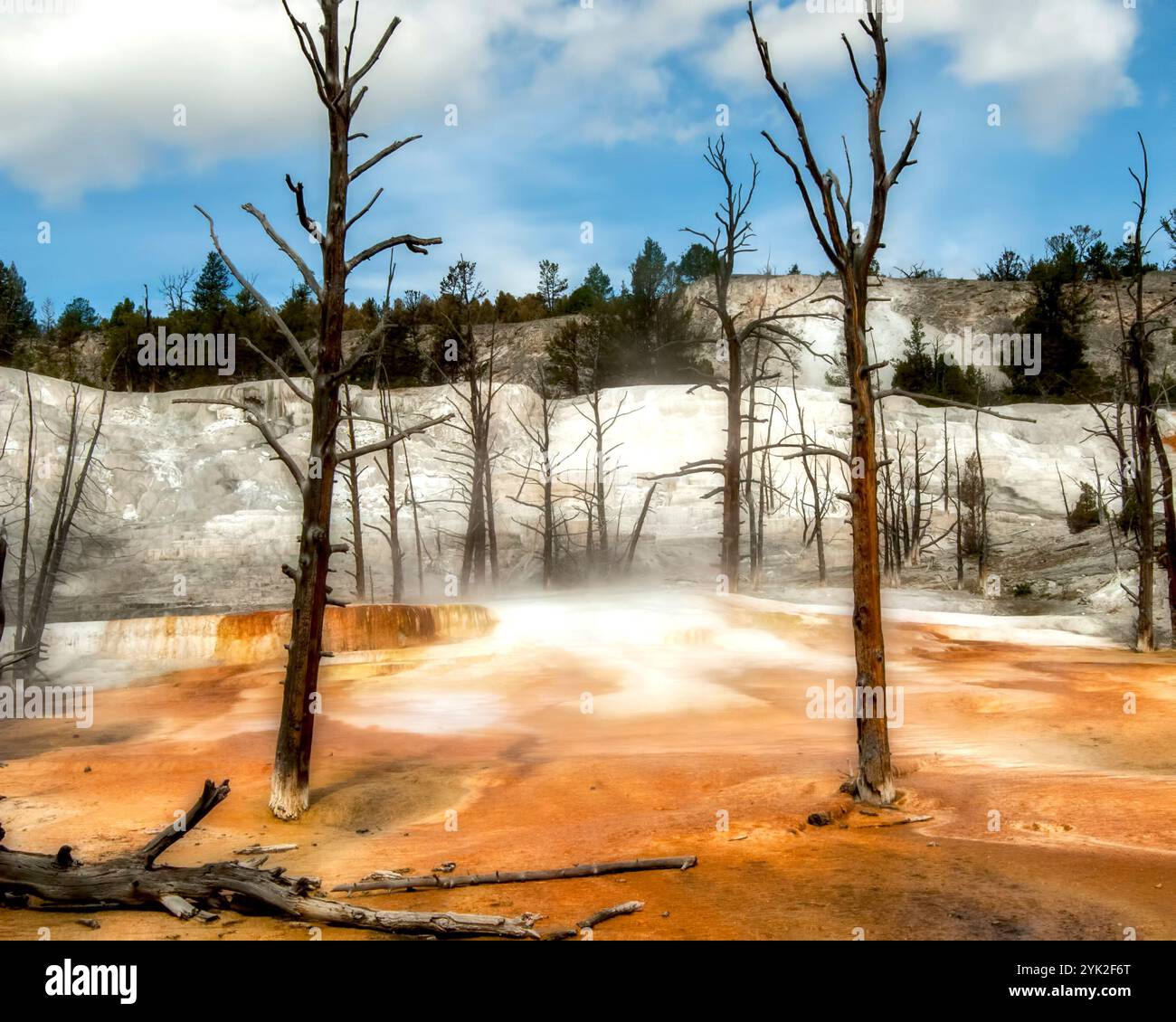 Paesaggio geotermico invernale nel Parco Nazionale di Yellowstone, con sorgenti calde ricche di minerali arancioni fumanti circondate dalla neve e da alberi morti spogli Foto Stock