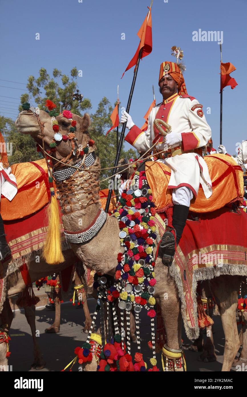India, Rajasthan, Jaisalmer, Desert Festival, cammello con autista Foto Stock