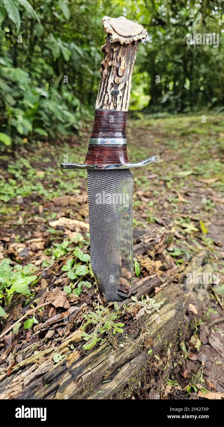 Vista di un coltello da caccia bloccato in un ceppo d'albero Foto Stock