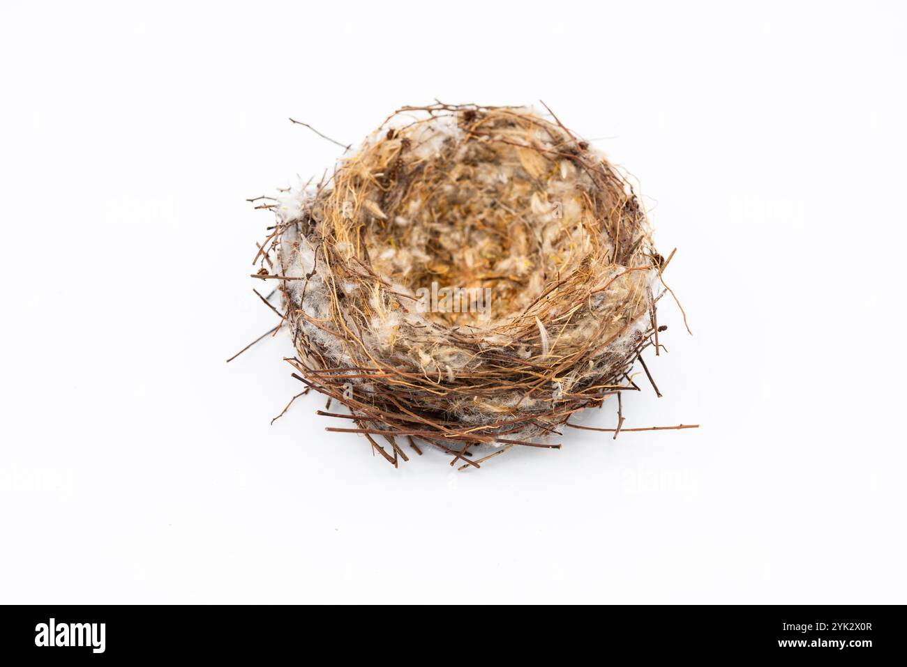 Nido Natural de ave vacío, aislado en blanco Foto Stock