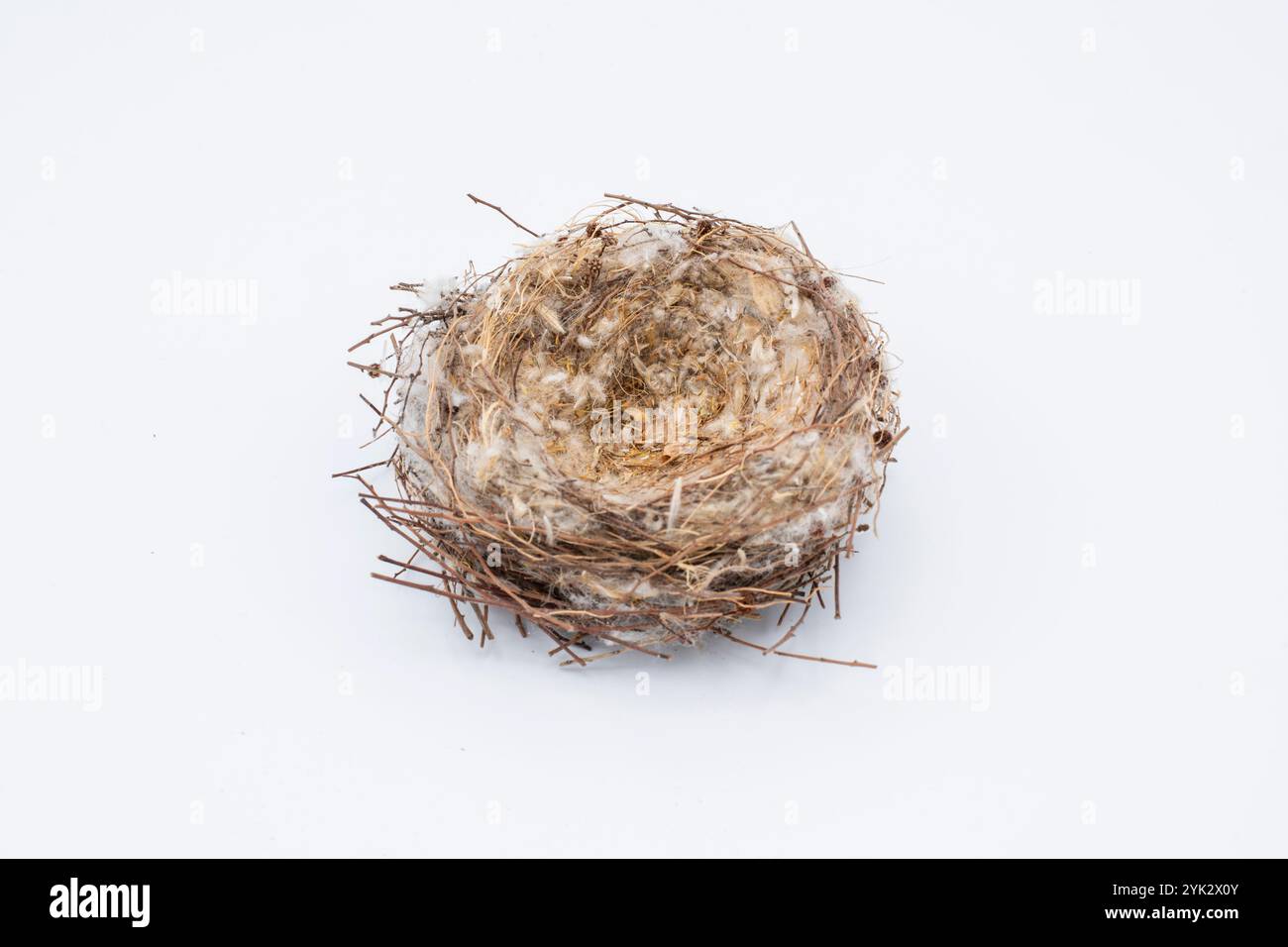 Nido Natural de ave vacío, aislado en blanco Foto Stock