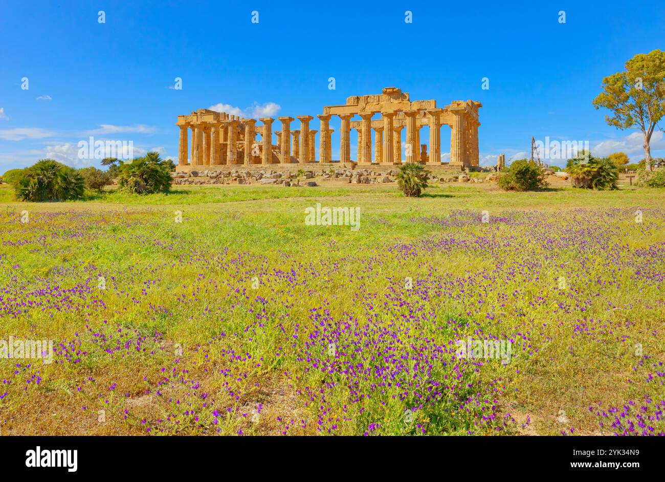 Tempio di Hera o Tempio e, Parco Archeologico di Selinunte, Selinunte, Distretto di Trapani, Sicilia, Italia Foto Stock