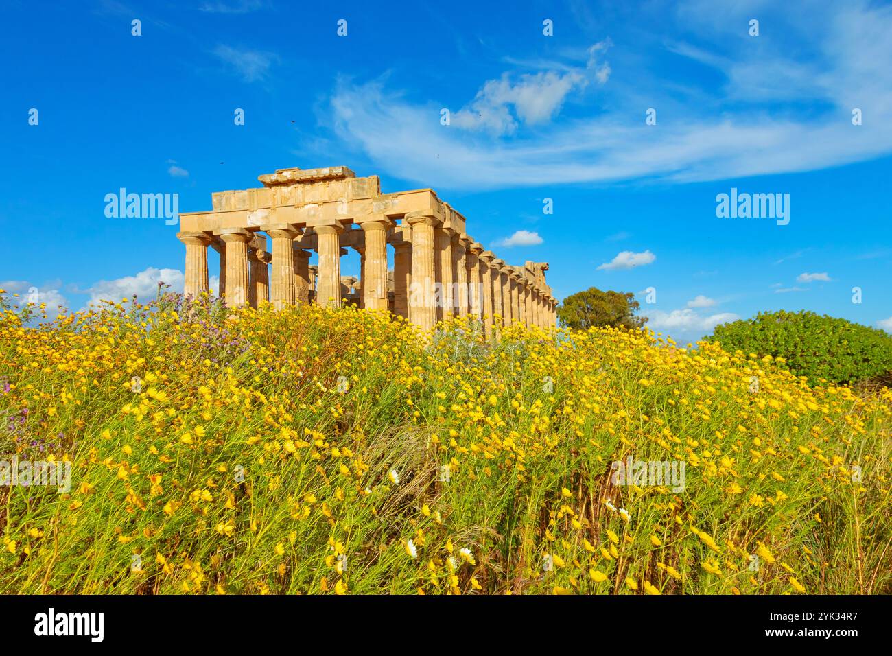 Tempio di Hera o Tempio e, Parco Archeologico di Selinunte, Selinunte, Distretto di Trapani, Sicilia, Italia Foto Stock