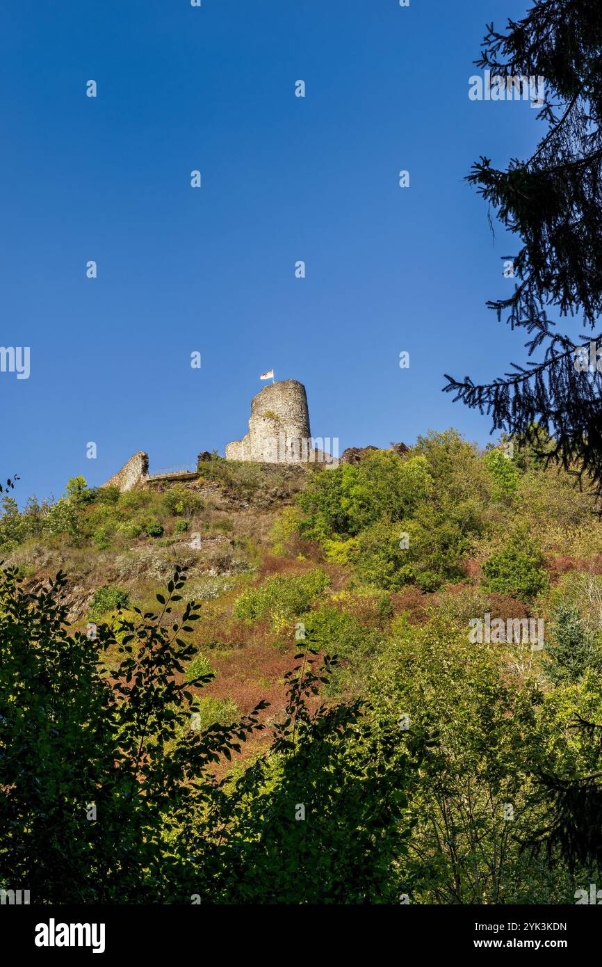 Ammira le rovine del castello di Winneburg, Cochem, Mosella, Renania-Palatinato, Germania Foto Stock