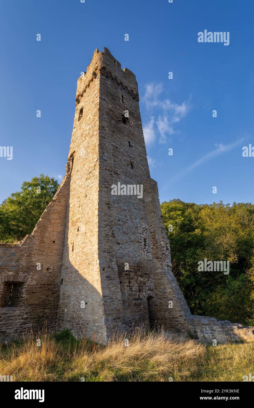 Vista di Philippsburg, Monreal, distretto di Mayen-Coblenza, Renania-Palatinato, Germania Foto Stock